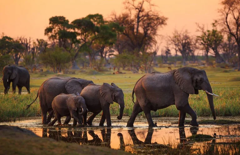 tarangire-national-park2